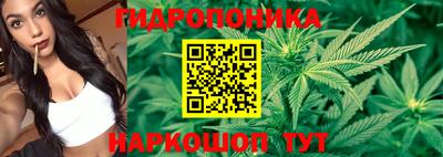 мдпв Краснознаменск